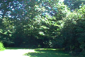 jardin ct sud Concarneau